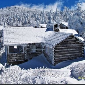 Winter ❄️ Wonderland